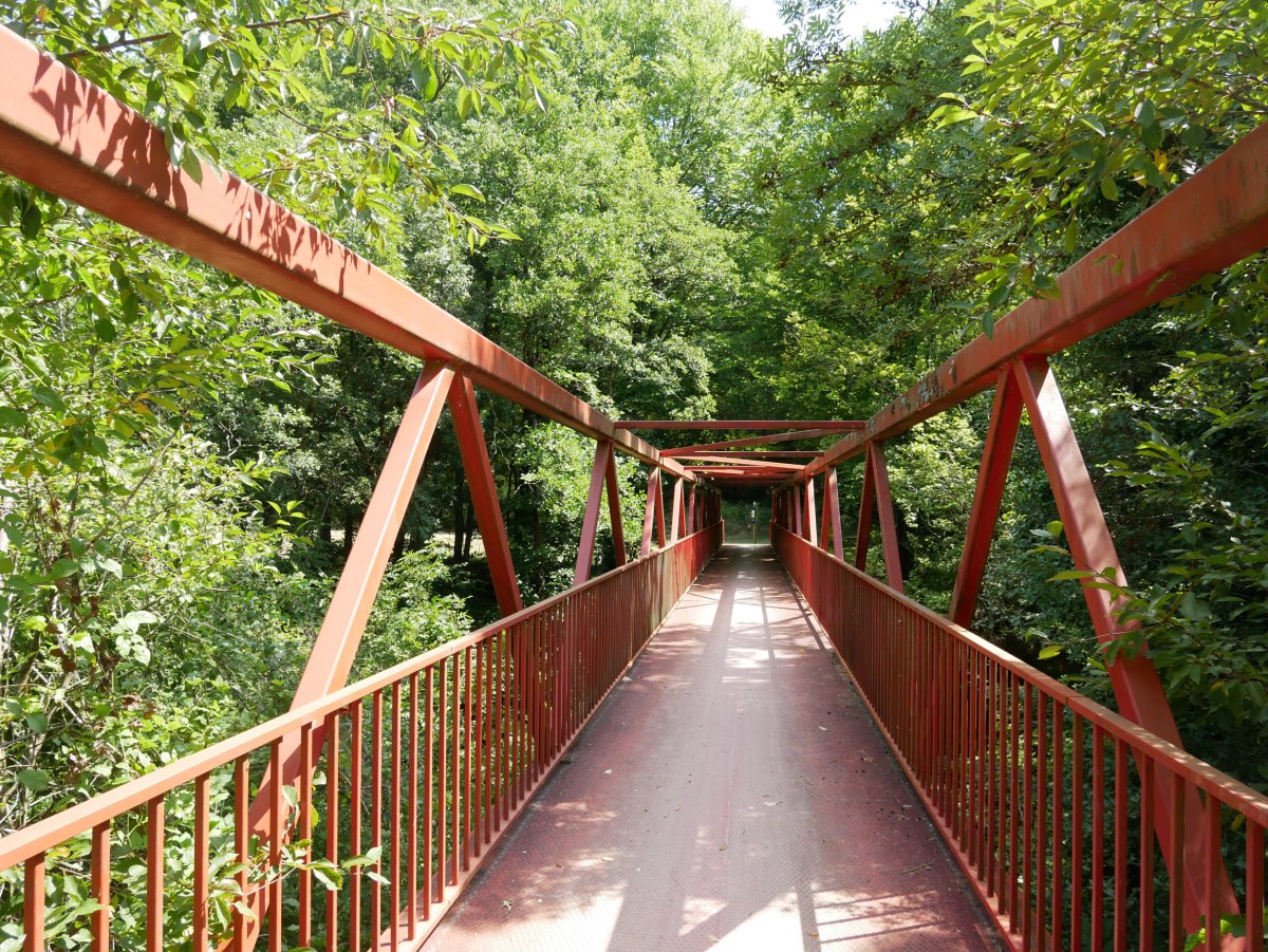 Vasco-Navarro bidegorriko zubibidea