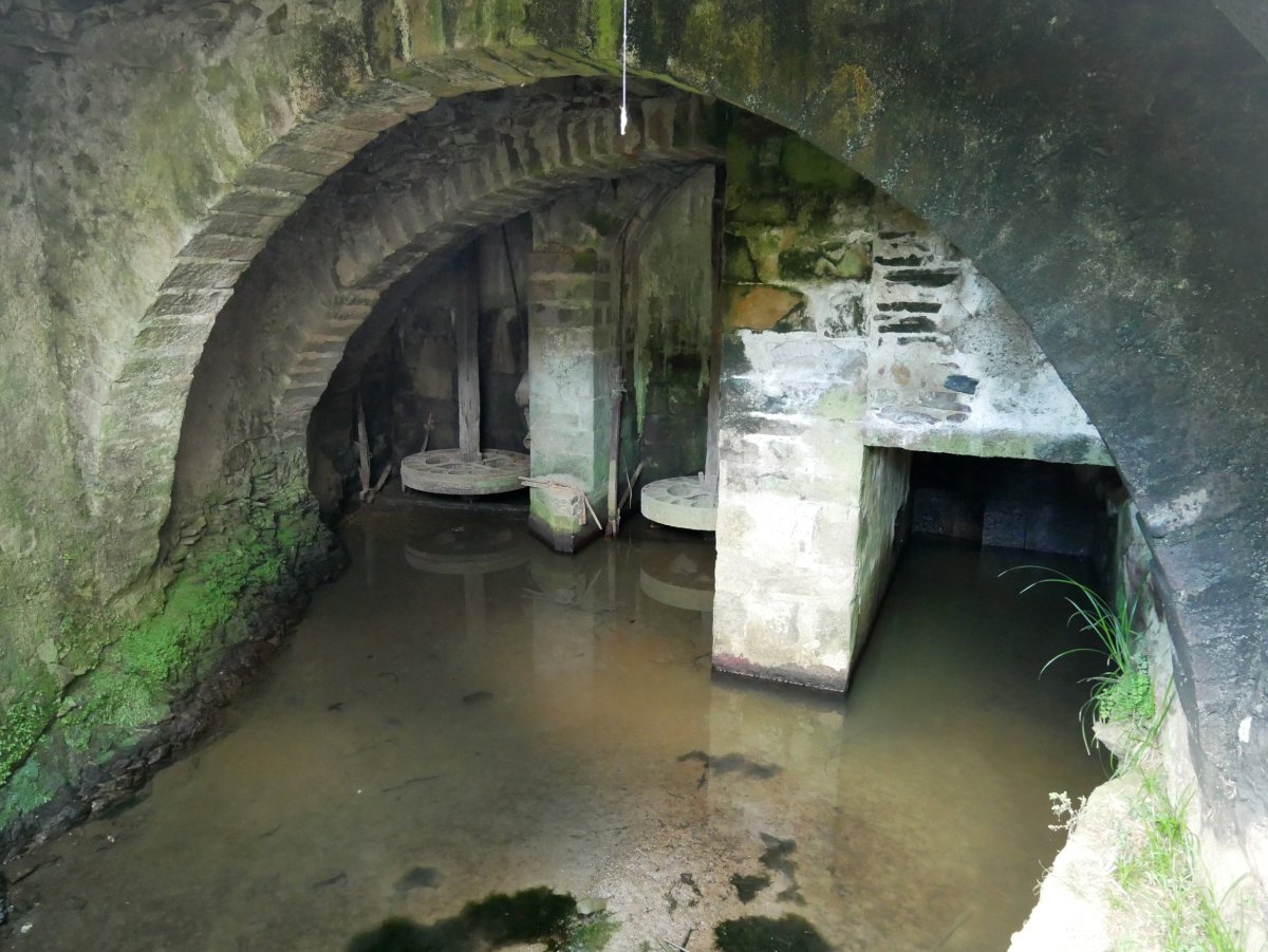 Erdiko errota, Etxalar