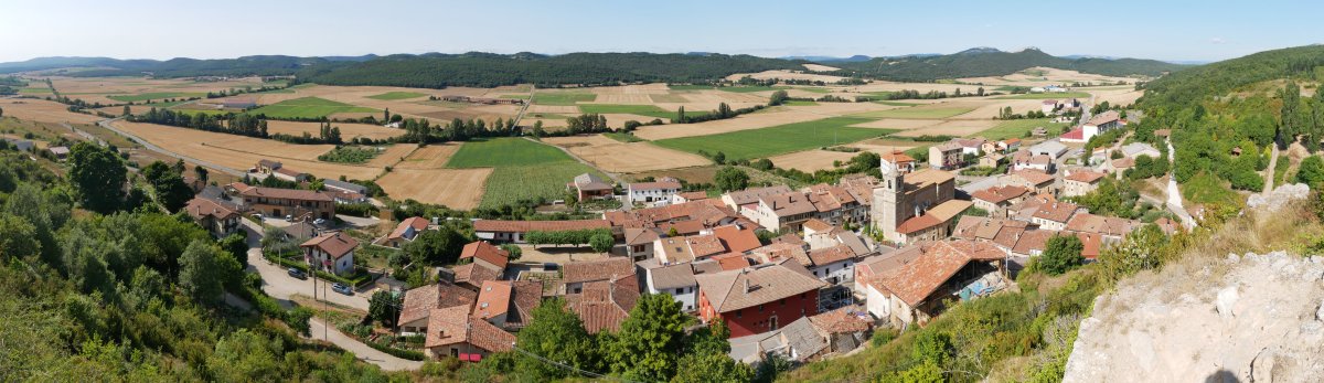 Bernedo gaztelutik ikusita