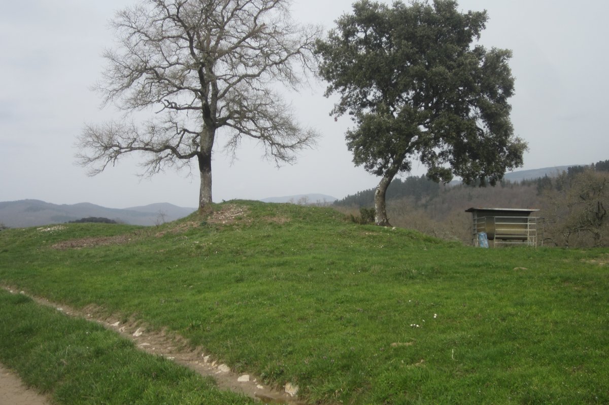 Dólmen Laurimendi  (Febrero 2021)