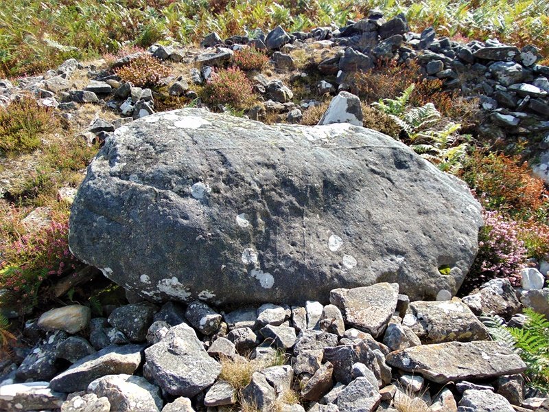 Arrobigaña Trikuharria