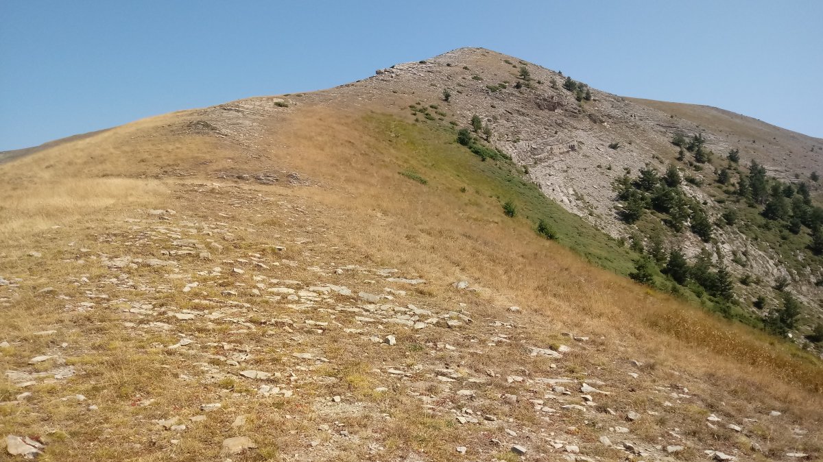 Otsogorritxipia (1794m) igoera Goienburu aldetik