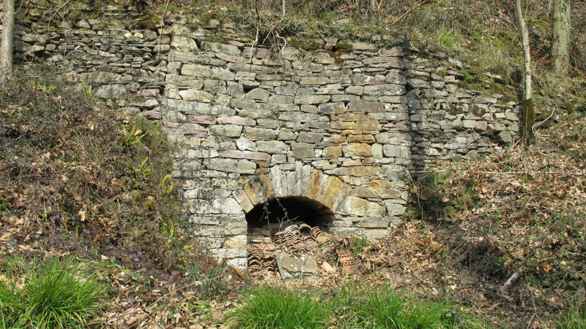 Karobia errepide bazterrean, Zubieta