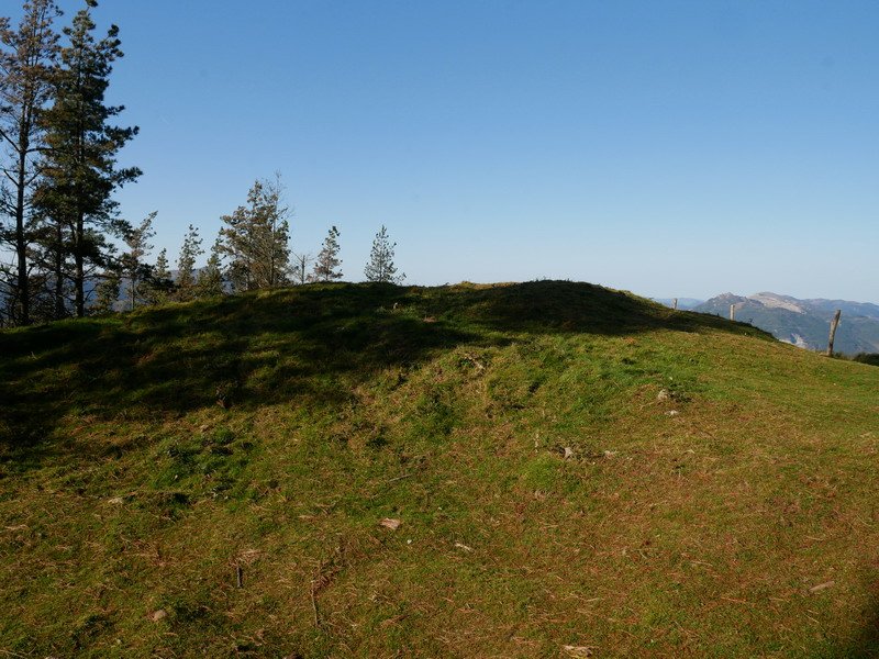 Diruzulo trikuharria