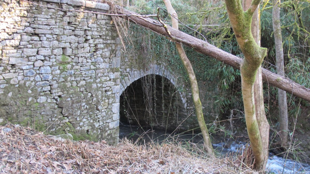 Otsobide zubia, Bertiz-Bertizarana