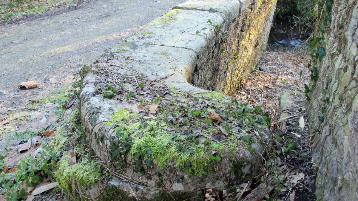 Otsobide zubia, Bertiz-Bertizarana