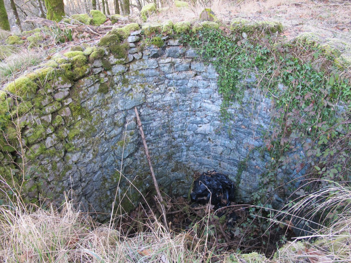 Aranea karobia, Bertiz-Bertizarana