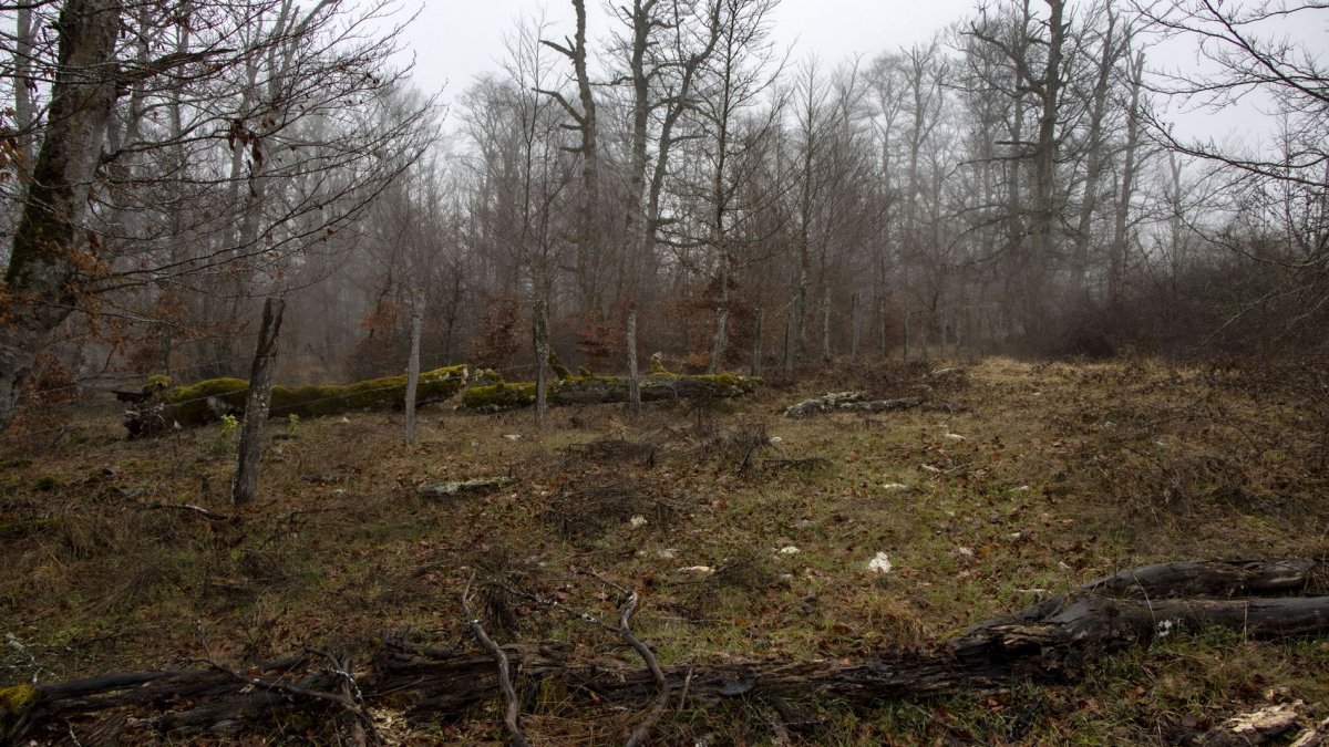 El Alto de la Brecha