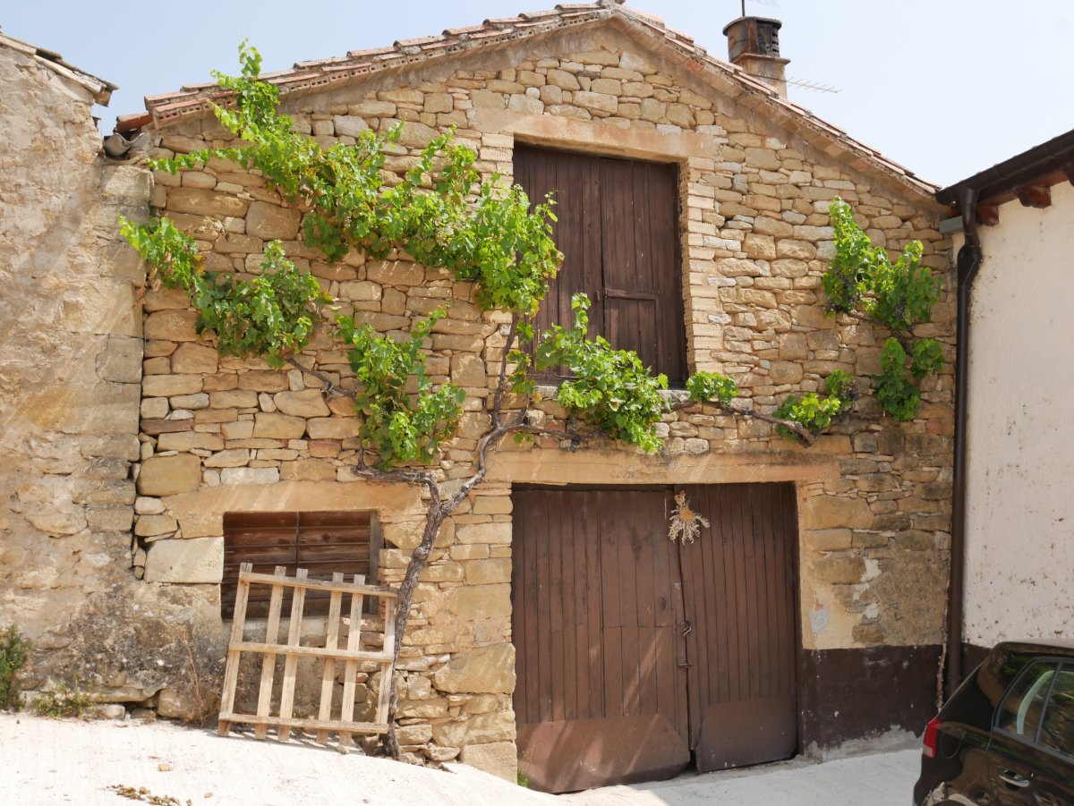 Ikuilu bat edo, Argiñano