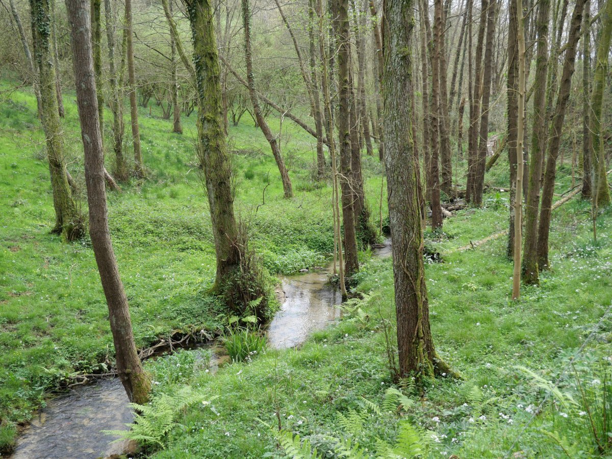 Goikoerrota inguruko altzadia, Hondarribia