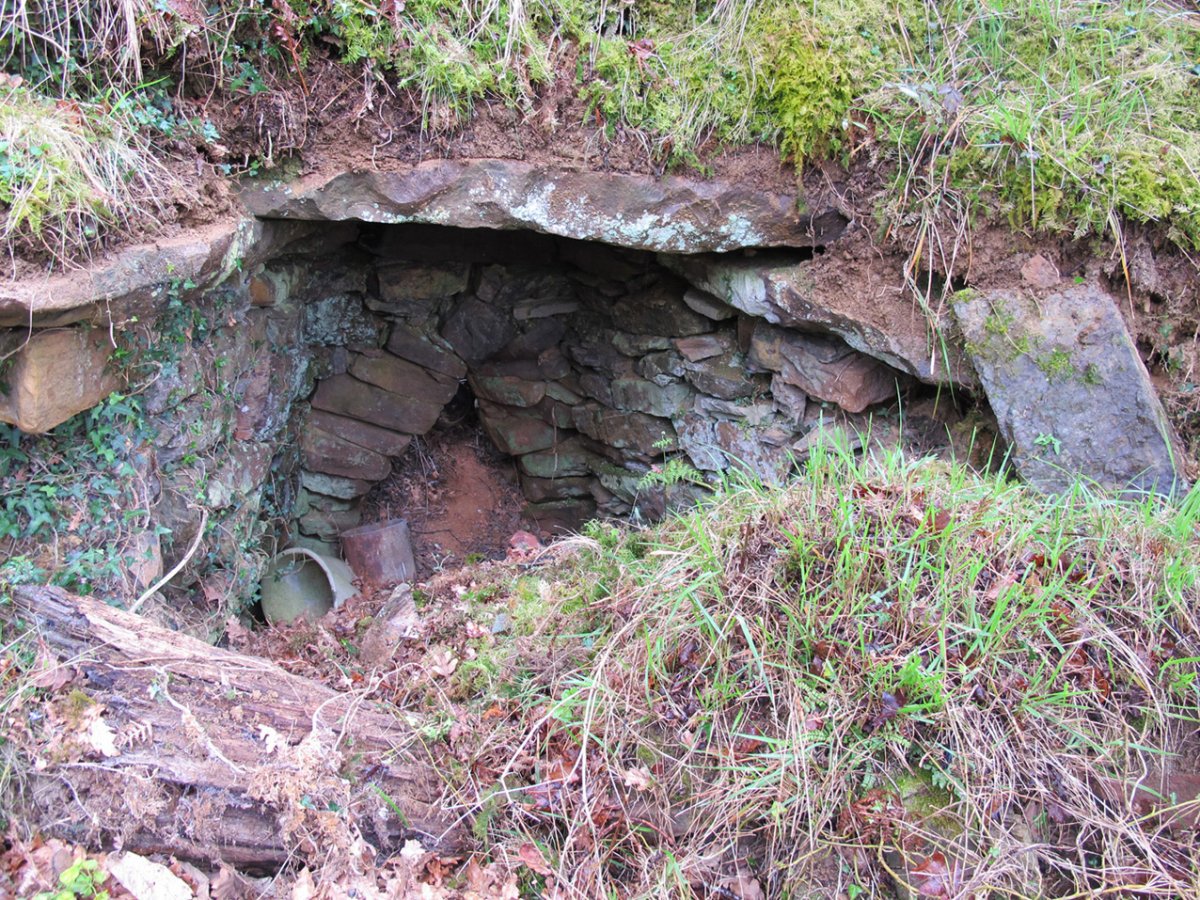 Urtsua karobia, Etxalar