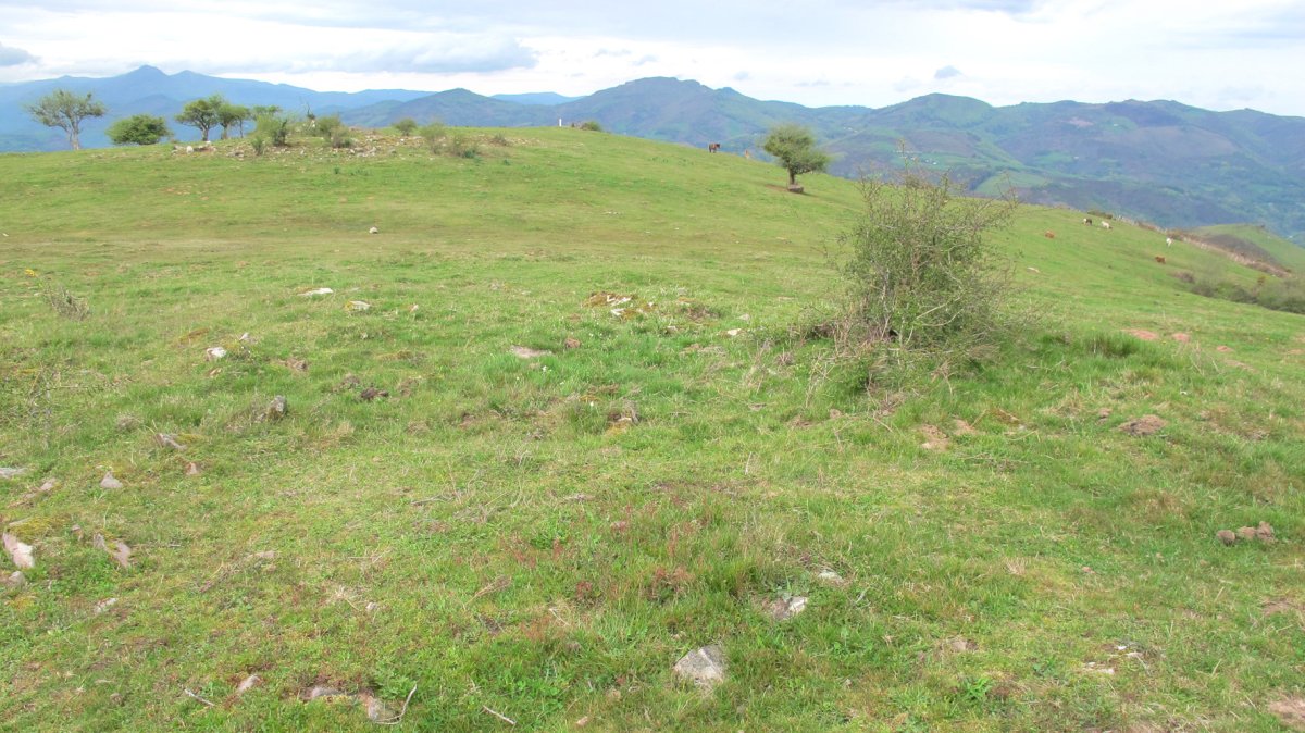 Oiza este trikuharria, Berro-Baztan