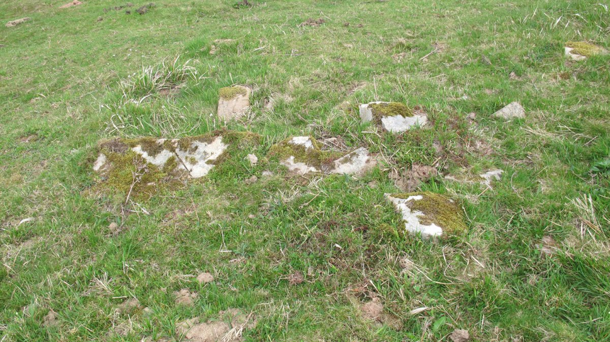 Oiza este trikuharria, Berro-Baztan