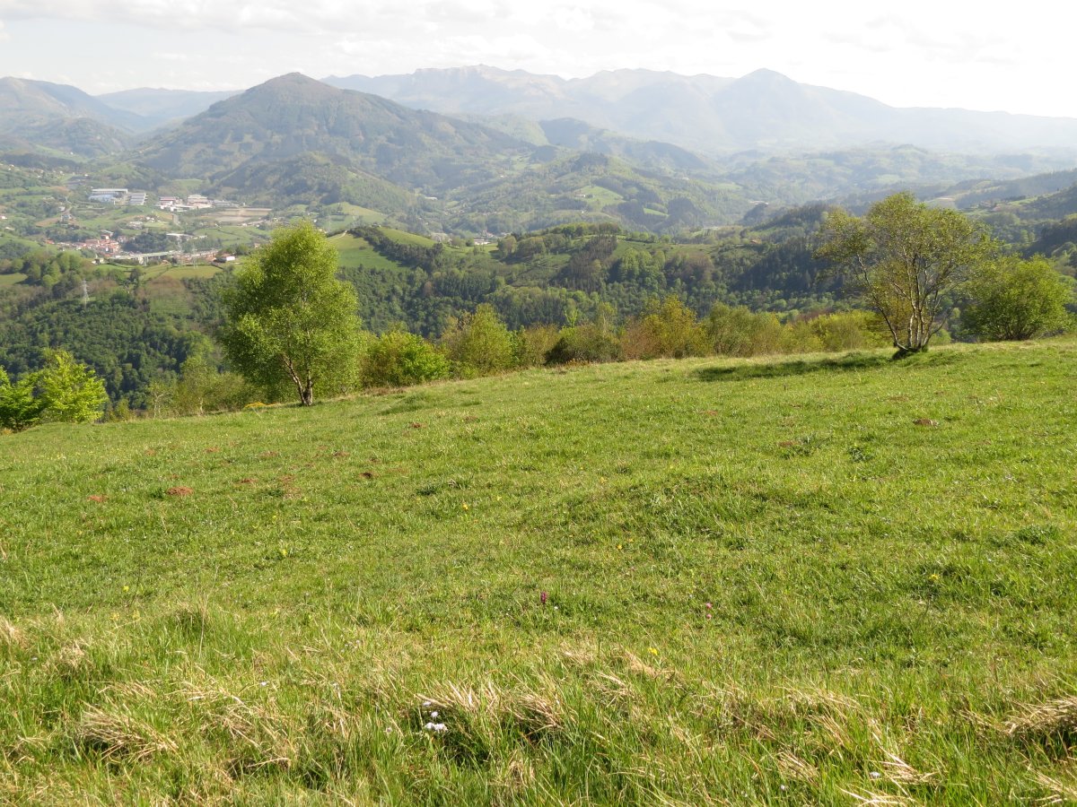 Campo tumular MENDIGAIN II