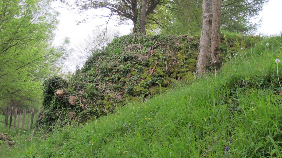 Petrinea karobia, Gartzain-Baztan