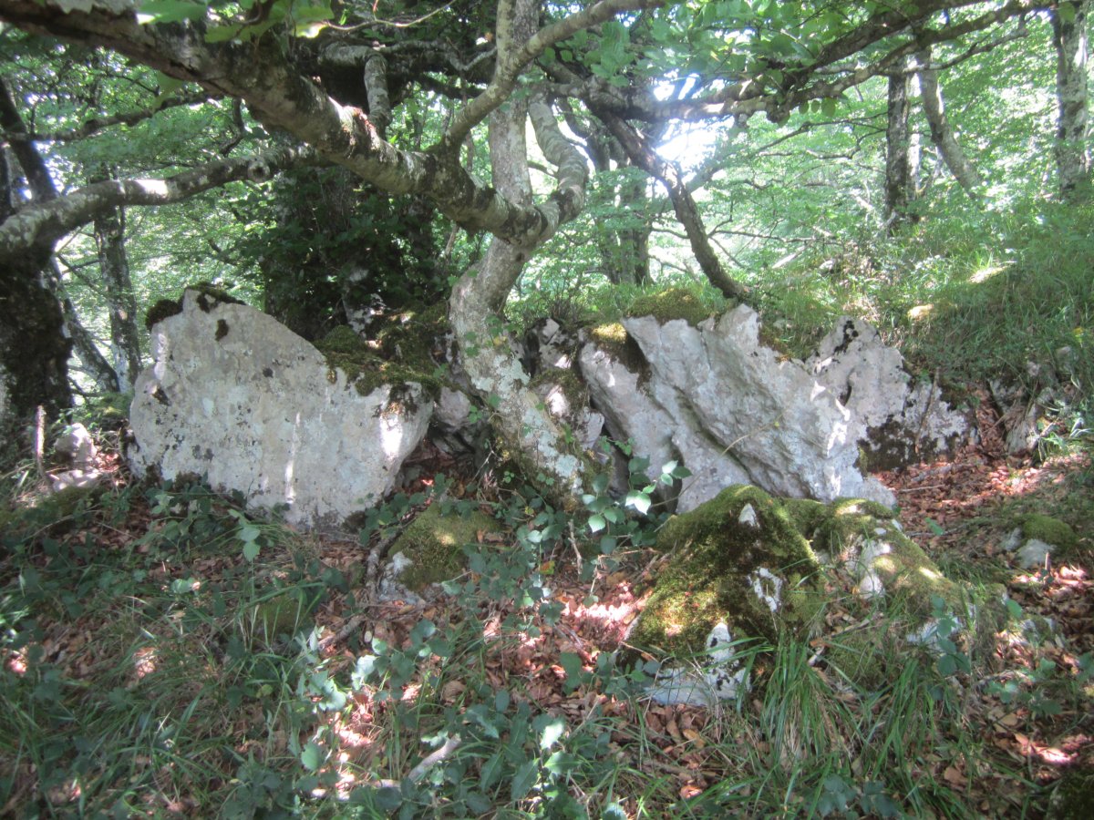 Lizarrandigañe 1 Este