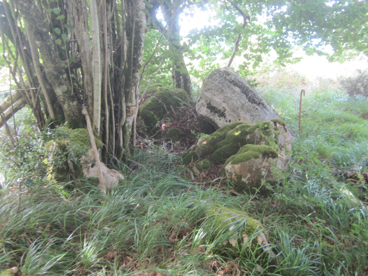 Lizarrandigañe 2 Oeste