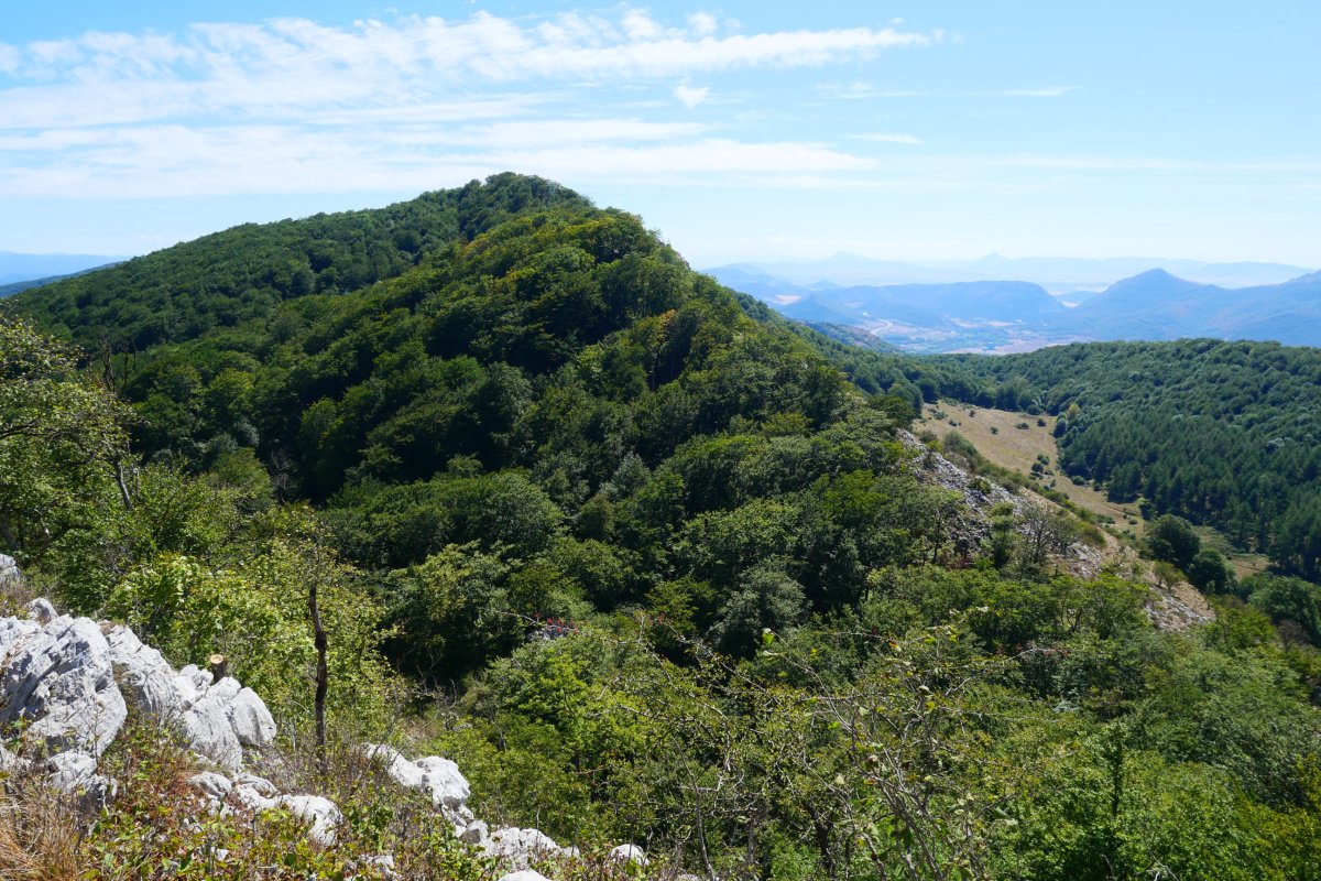 Eguerdimuñotik ikusita