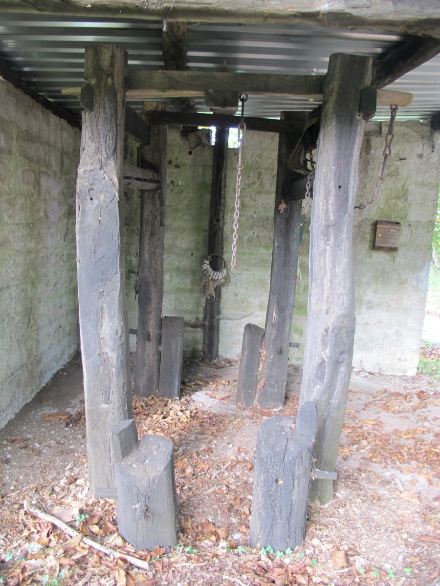 Perratokia, Alkegi-Bera