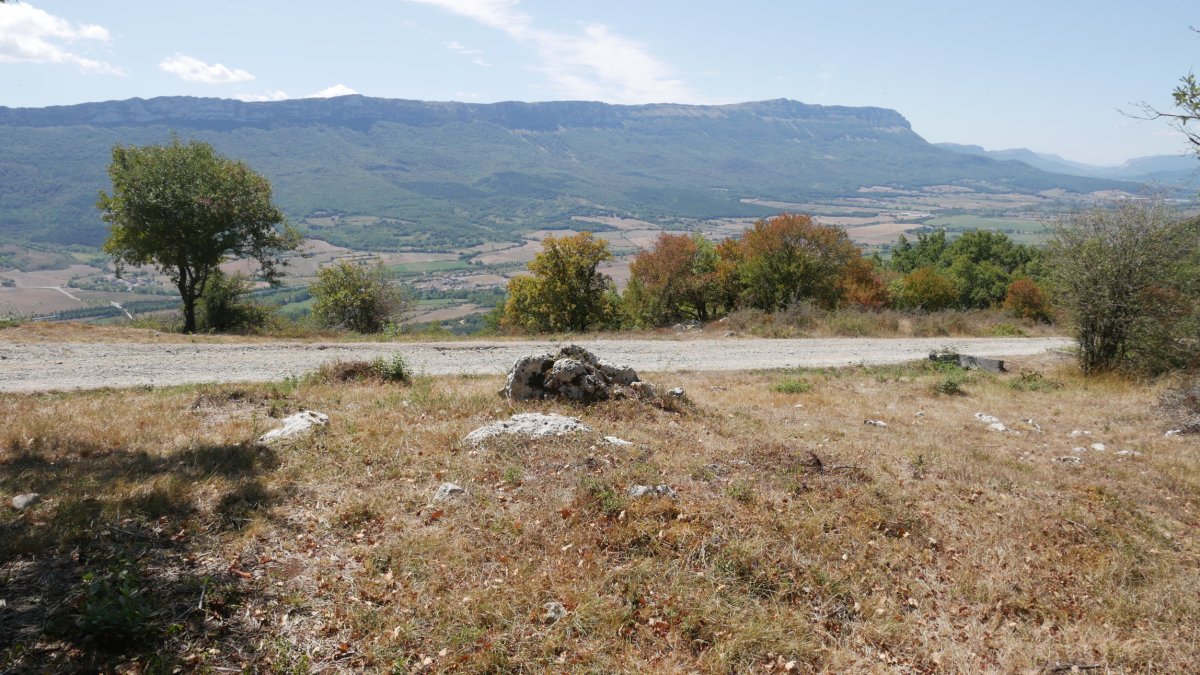 Kategaña trikuharria