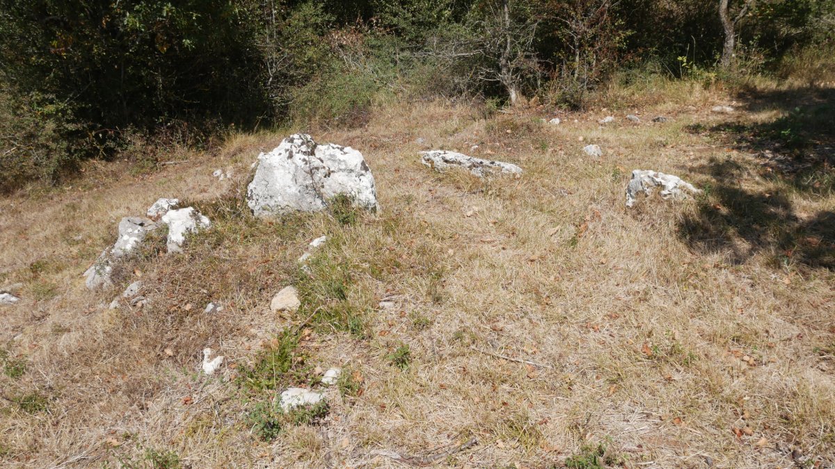 Kategaña Trikuharria