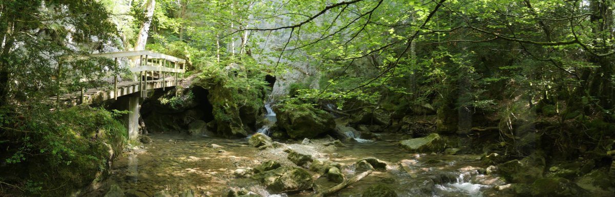 Belabartze ur-jauzia