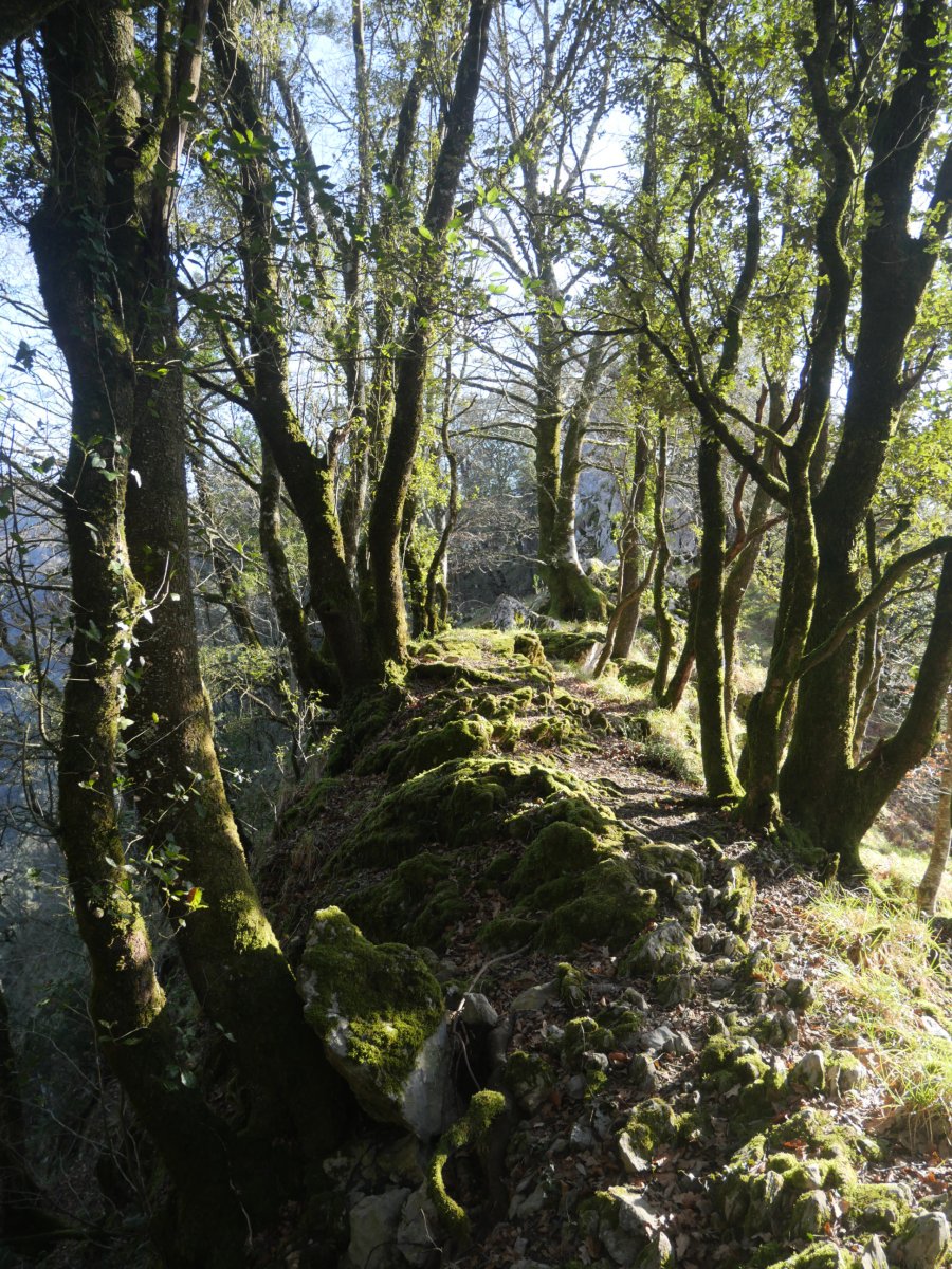 Artitzako Malkorra: pasarte polita HEko bizkarrean