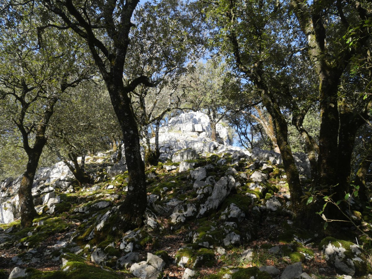 Artitzako Malkorra: azken txanpa HEko bizkarrean gora