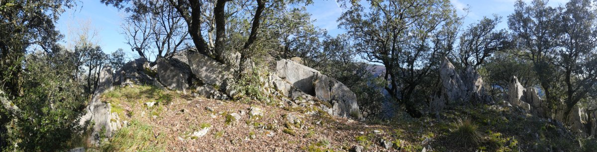 Artitzako Malkorra tontorra