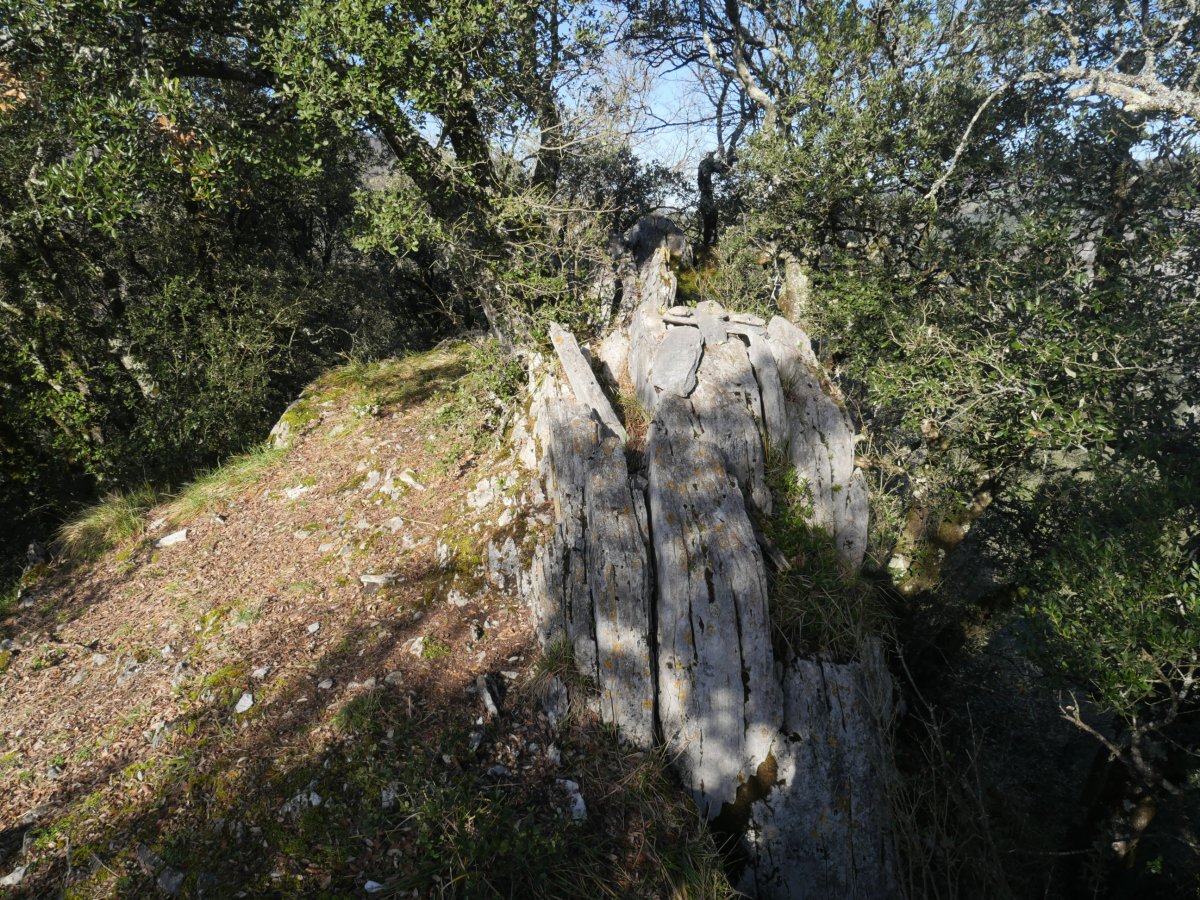 Artitzako Malkorra tontorra