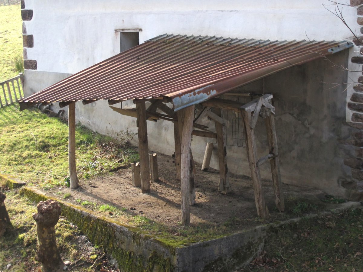 Olazarrea perratokia, Etxalar