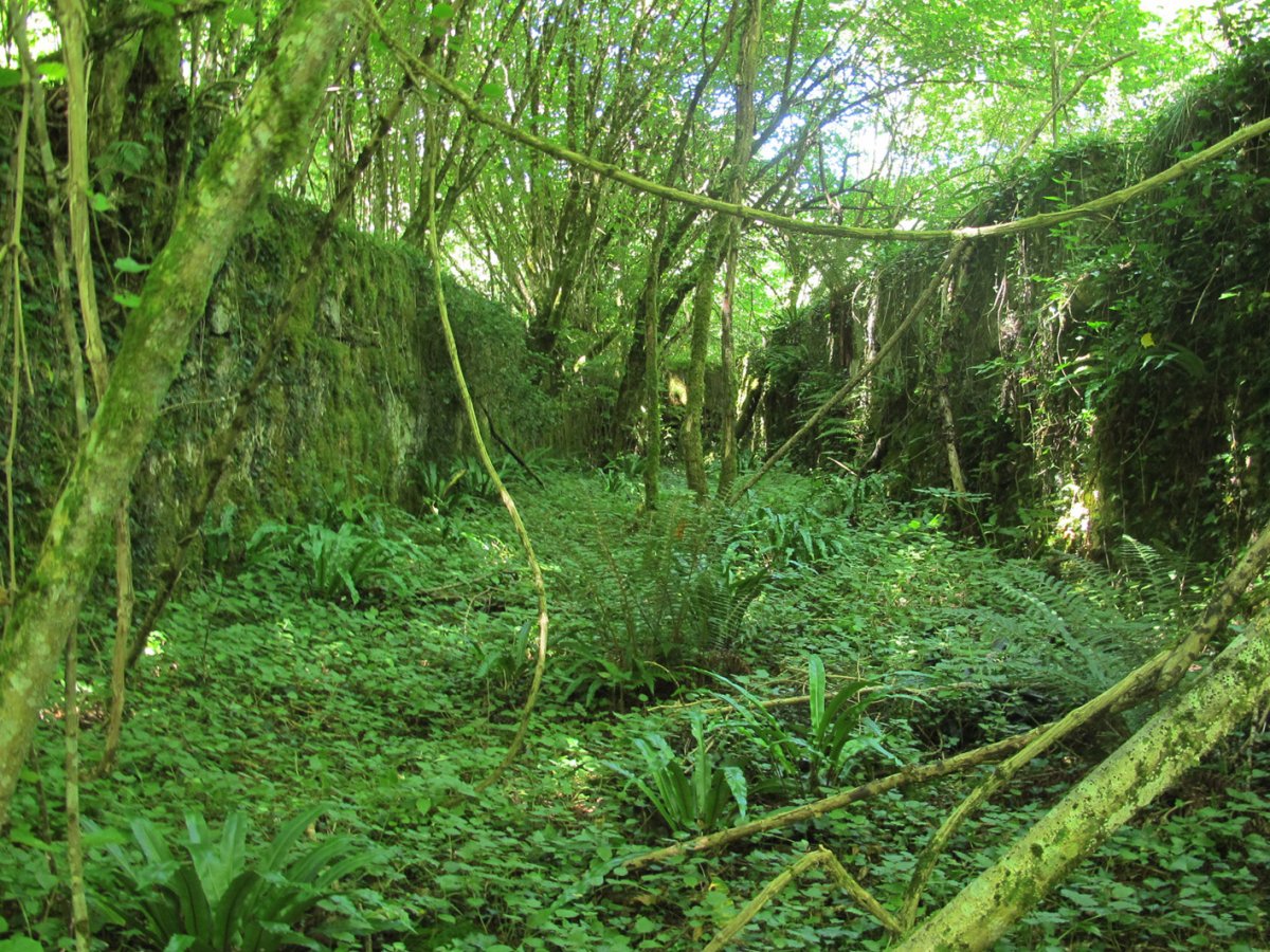 Errotako hondakinak, Ezkurra