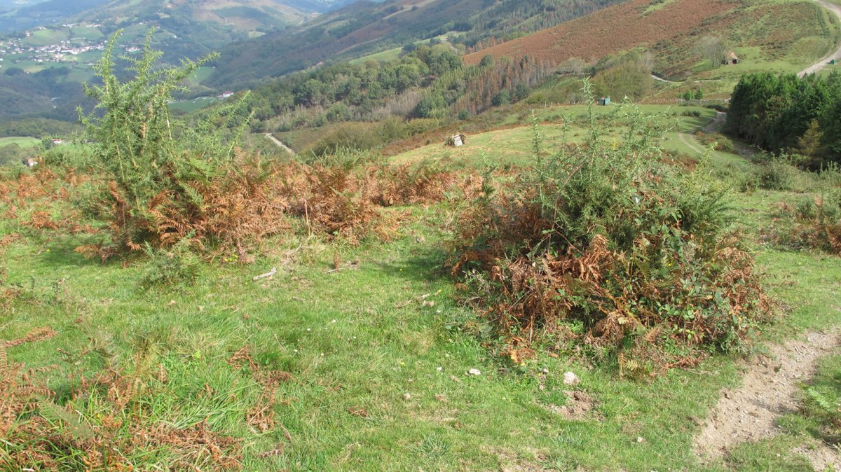 Bulatxiki etxola hondoa, Arantza-Sunbilla