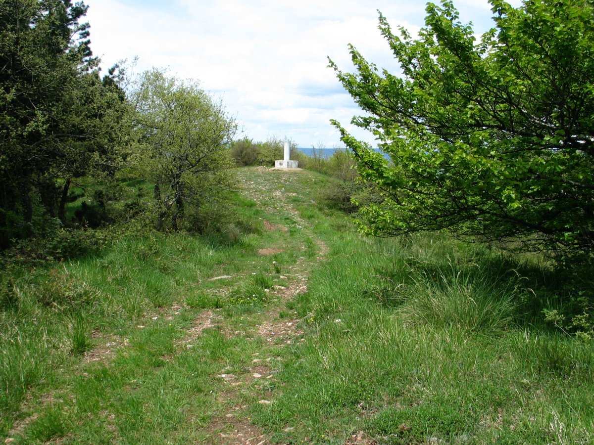 Bustuko Gana tontorra