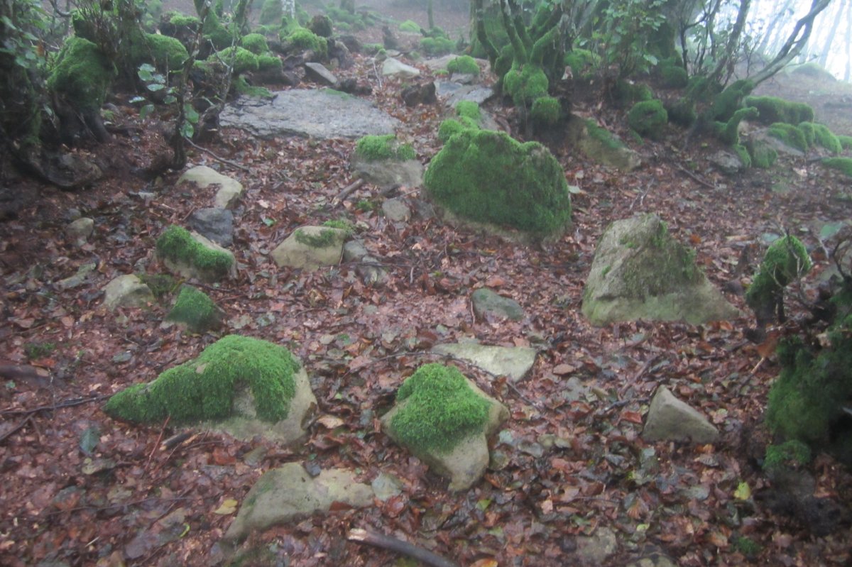 Dólmen Azkonazulueta (09-2021)