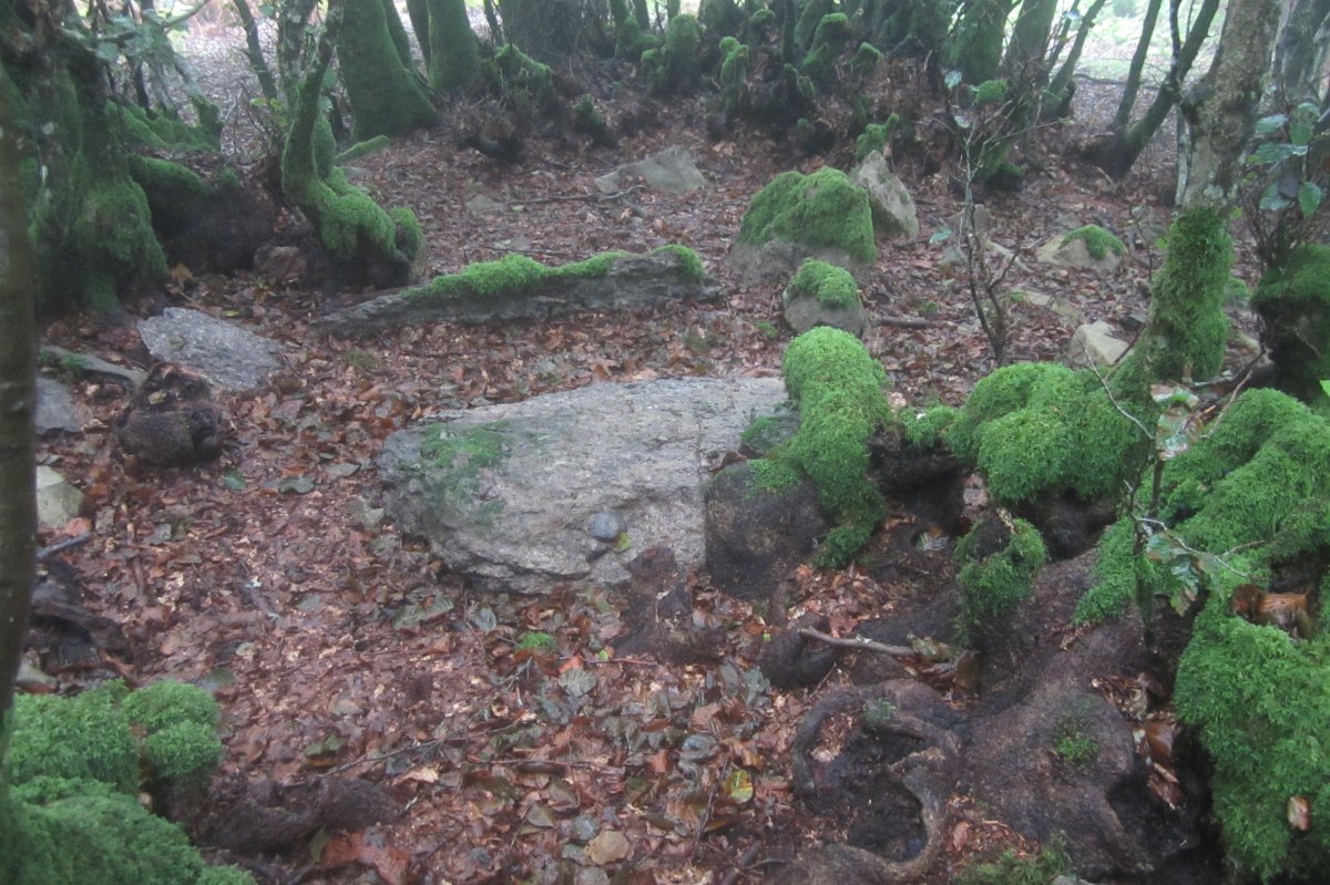 Dólmen Azkonazulueta  (09-2021)