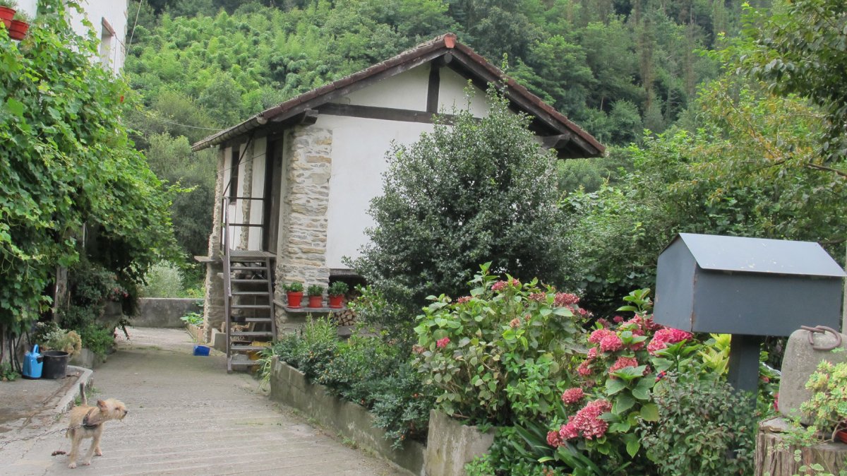 Gorotzenea garaia, Alegia