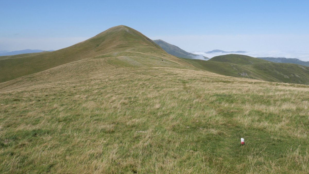 Gaztarrigaina ekialdetik