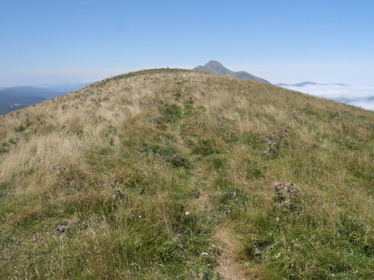 Gaztarrigaina tontorra ekialdetik