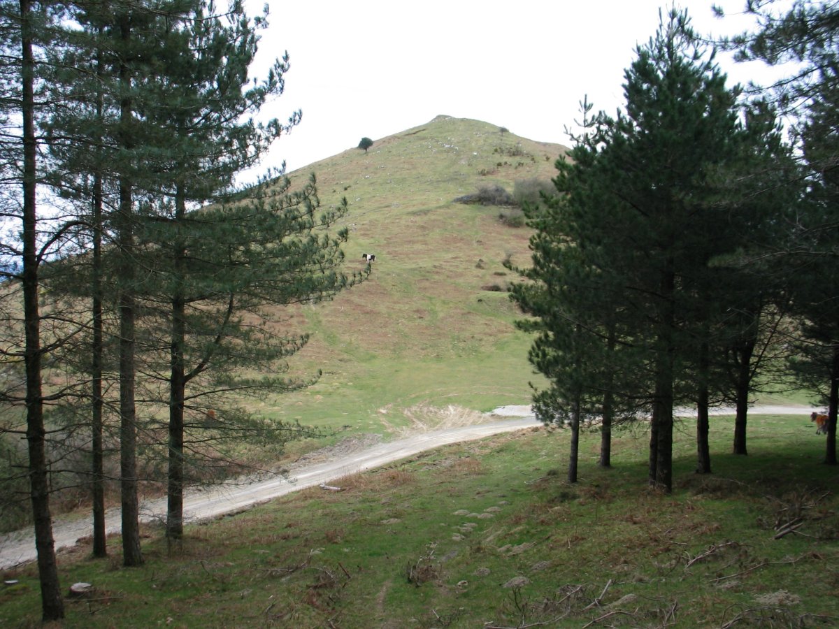 Basandegi hegoaldeko lepotik