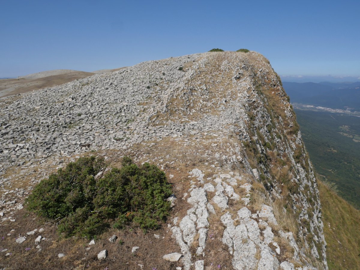 Amorro gailurra ekialdetik