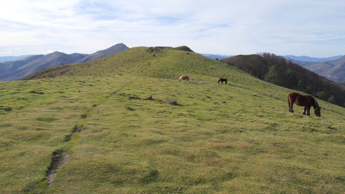Meatzetako Bizkarrera gerturatzen