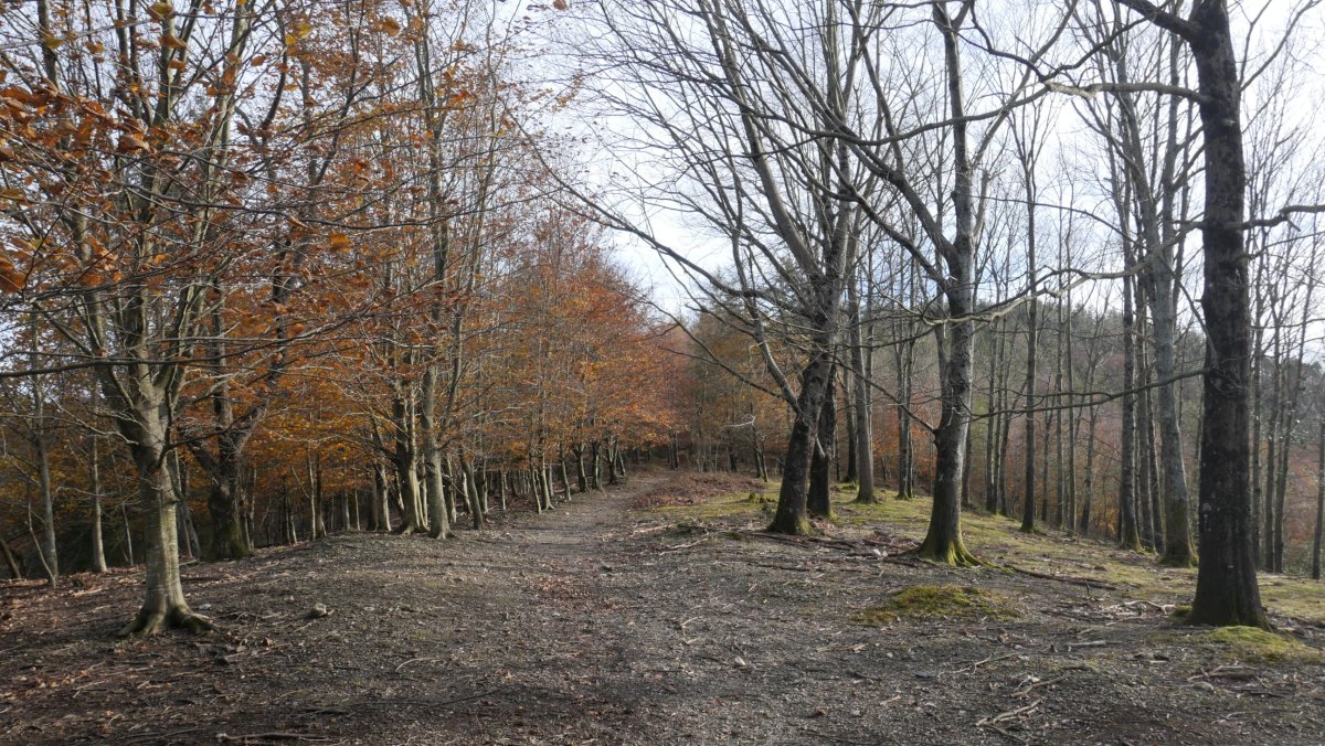 Elordiko iparraldeko bizkarreko pasarte bat