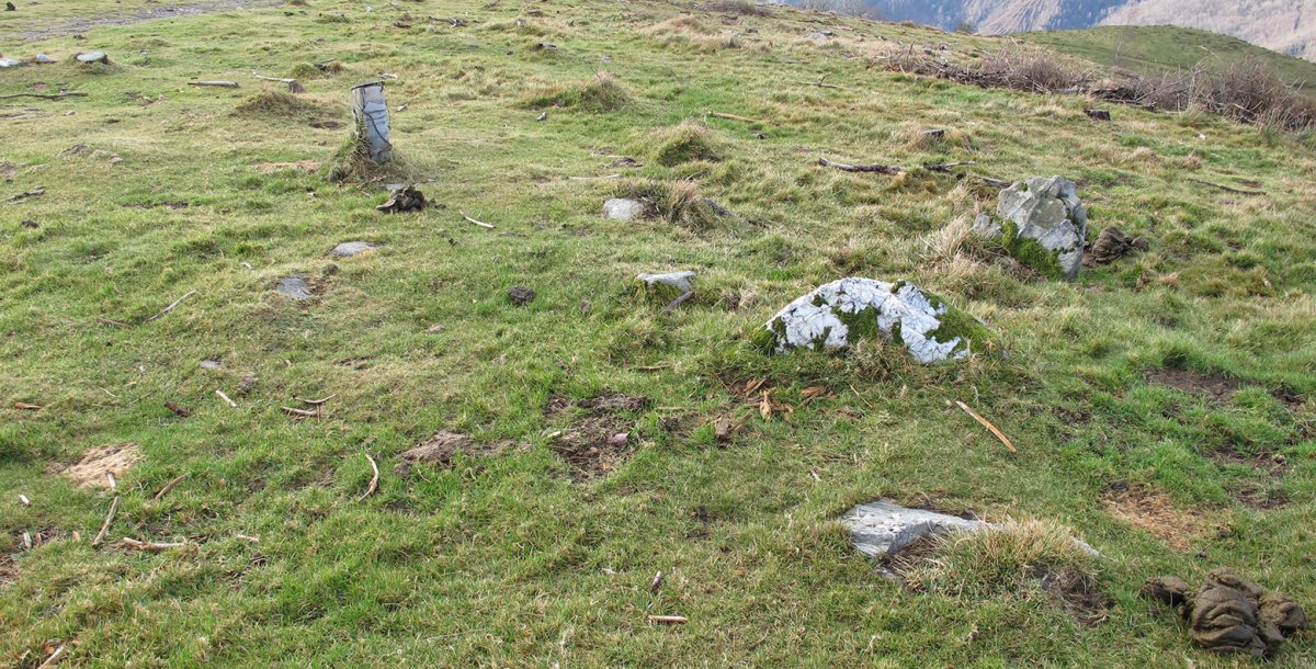 Deskargako Arrieta harrespila, Goizueta