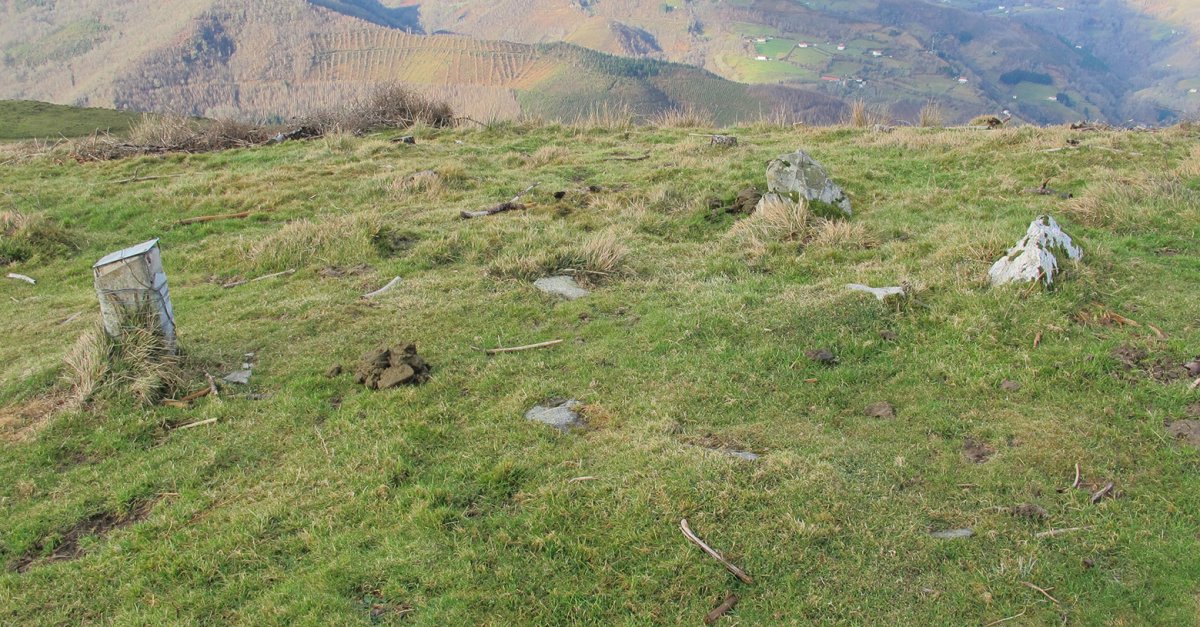 Deskargako Arrieta harrespila, Goizueta