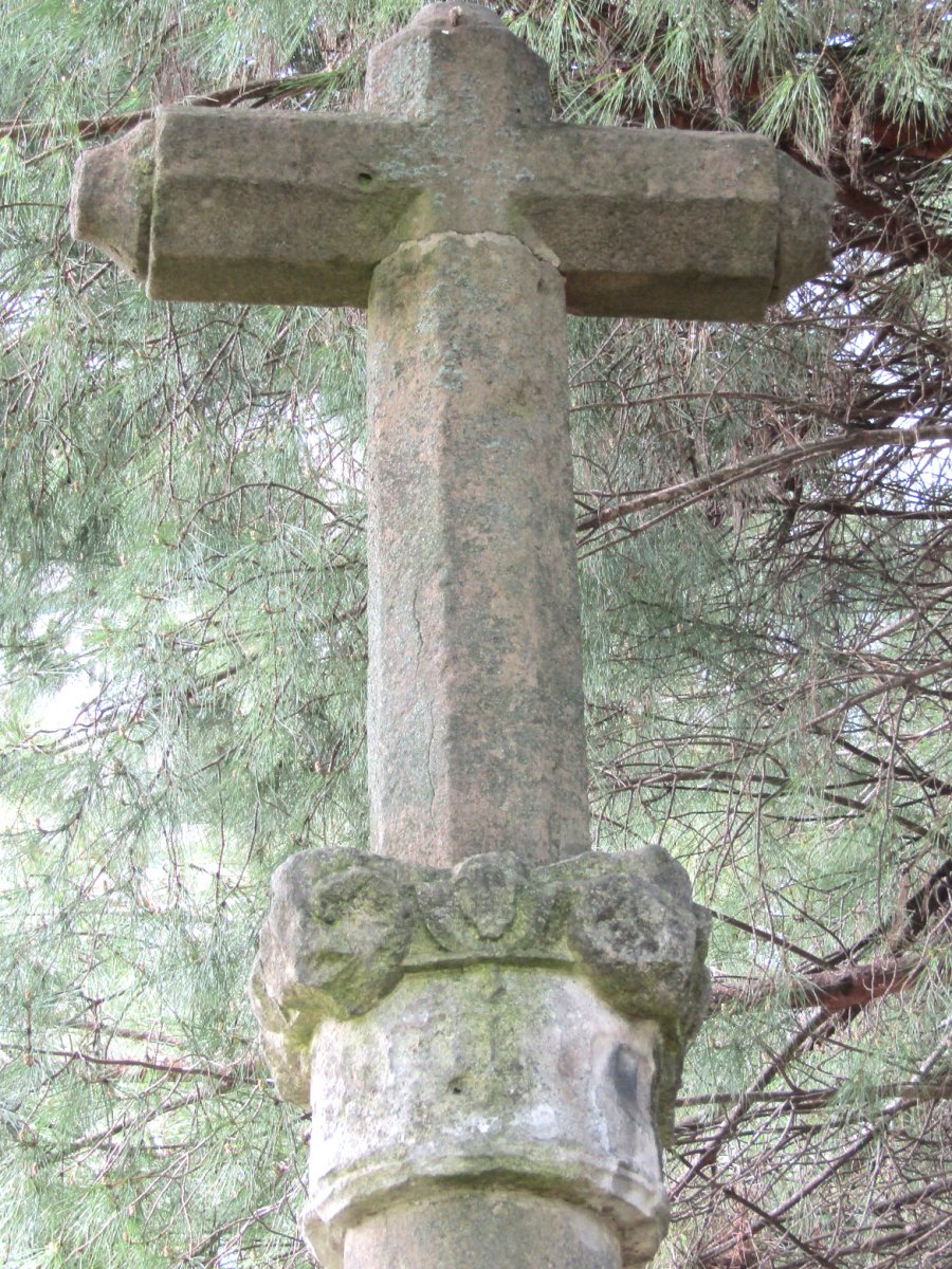 Cruz Negra gurutzea, Iruñea