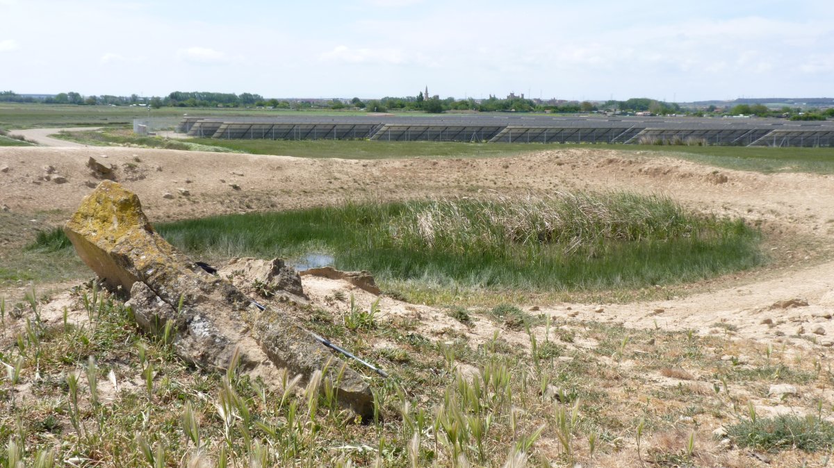 MONOLITO Y BALSA; CORRAL DE LA FALCONERA