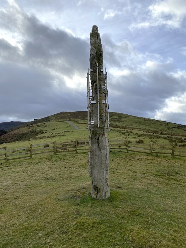 Kurtzegan (Kolometa) Zutarria