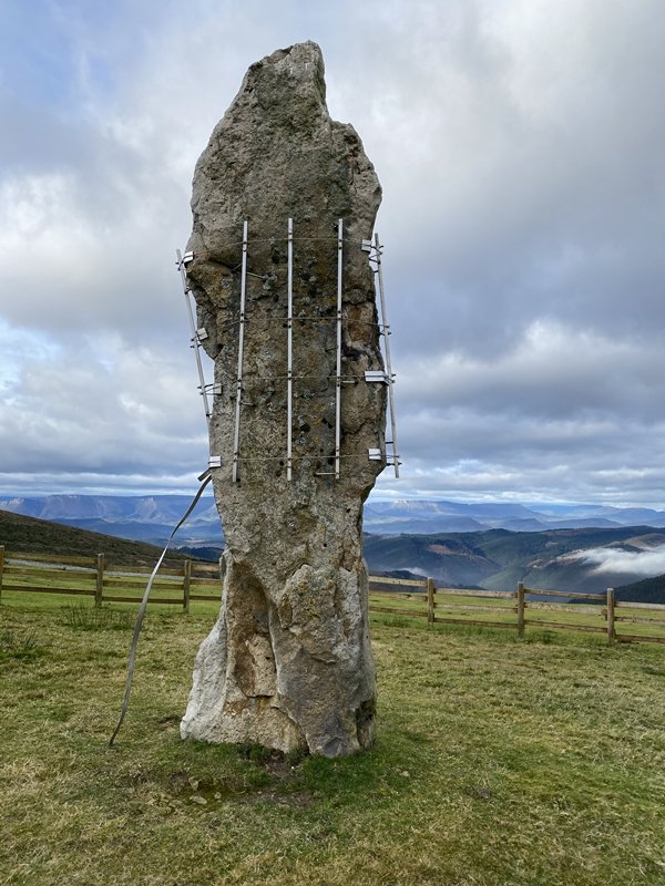 Kurtzegan (Kolometa) Zutarria