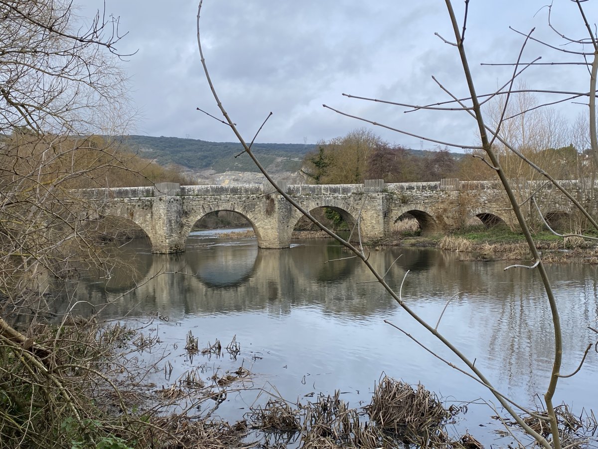 Tresponde Zubia. Iruña Oka (Tresponde)